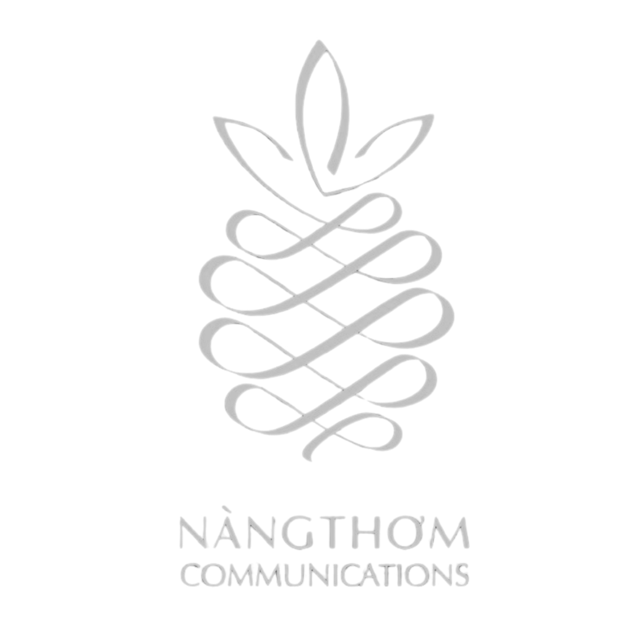 KMT Solutions Partners_Nàng Thơm