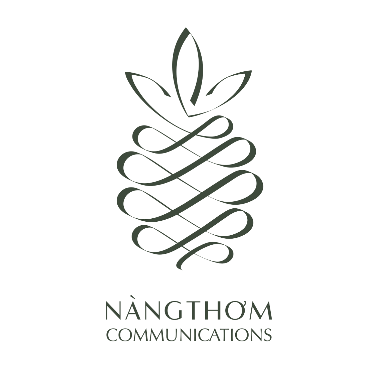 KMT Solutions Partners_Nàng Thơm Communication